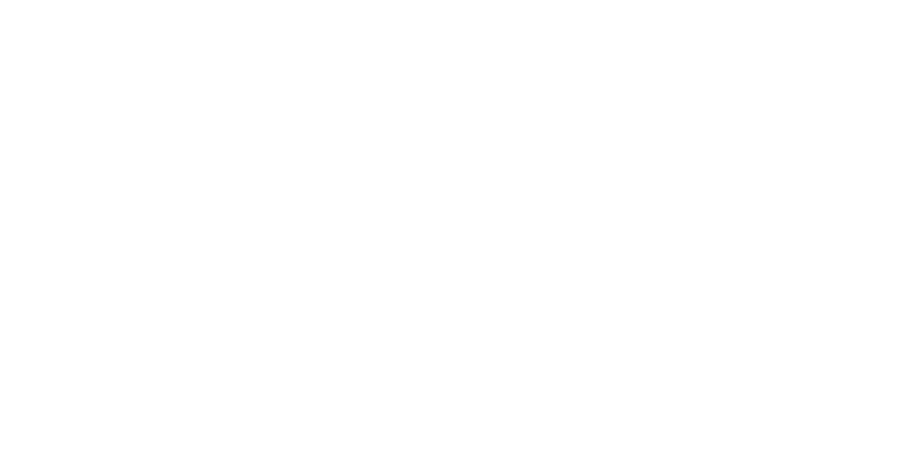 Akana Logo HEader